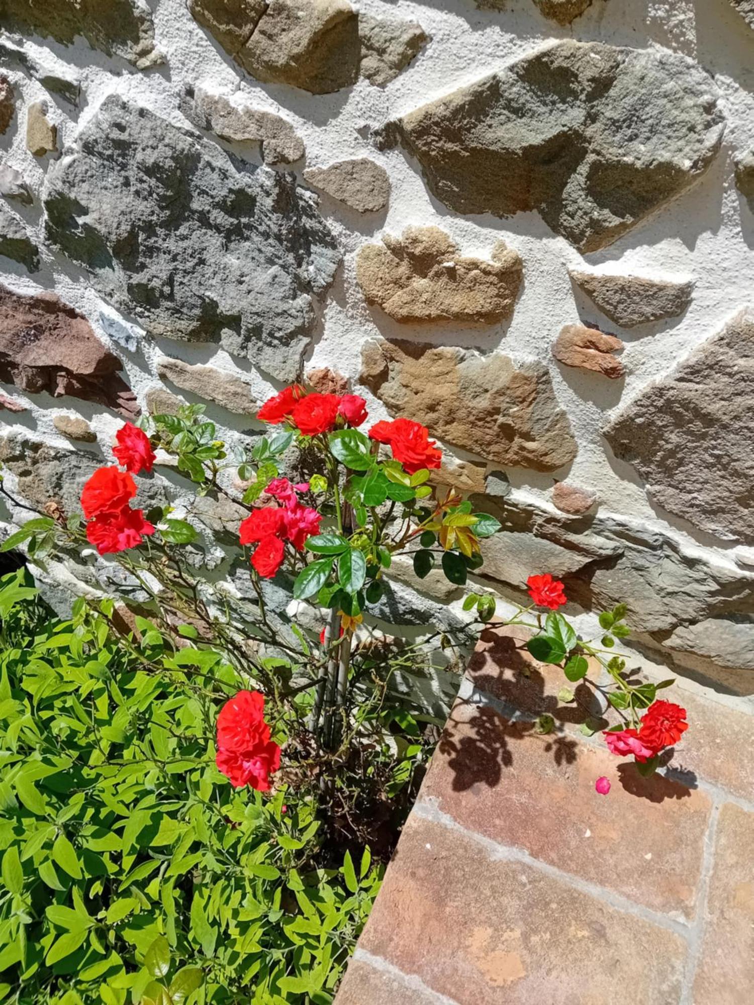 Raggio Di Sole Grotte (Tuscany)